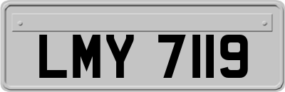 LMY7119