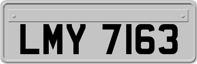 LMY7163