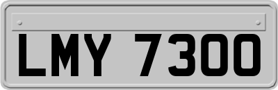 LMY7300