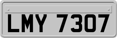 LMY7307