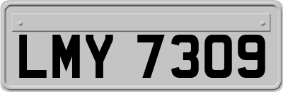 LMY7309