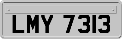 LMY7313