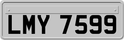 LMY7599