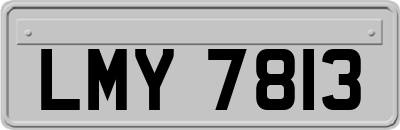 LMY7813