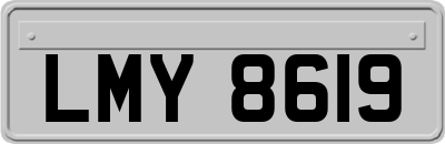 LMY8619