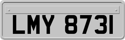 LMY8731