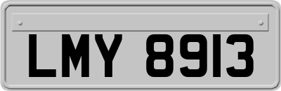 LMY8913
