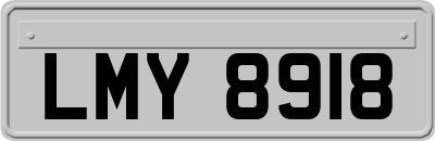 LMY8918