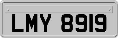 LMY8919