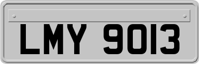 LMY9013