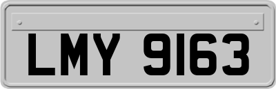 LMY9163