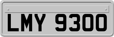 LMY9300