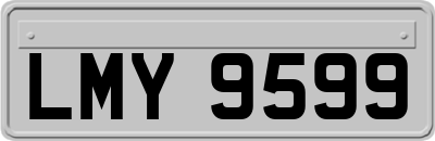 LMY9599