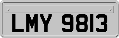 LMY9813