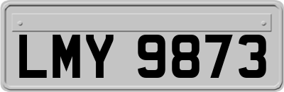 LMY9873