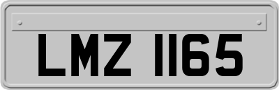 LMZ1165