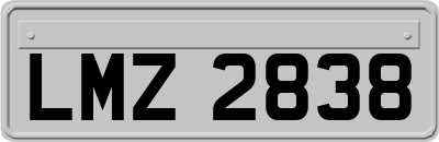 LMZ2838