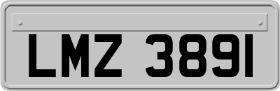 LMZ3891