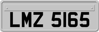 LMZ5165
