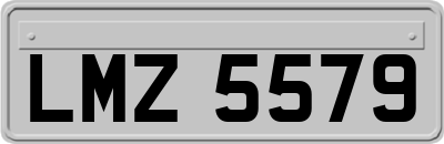 LMZ5579