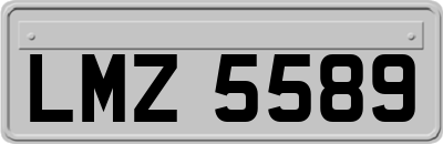 LMZ5589