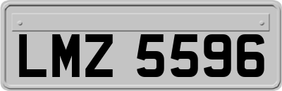 LMZ5596