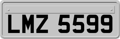 LMZ5599