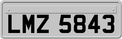 LMZ5843