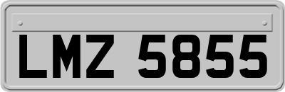 LMZ5855