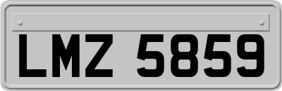 LMZ5859