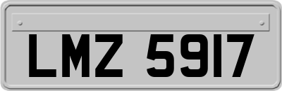 LMZ5917