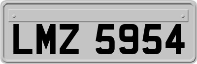 LMZ5954