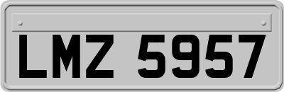 LMZ5957