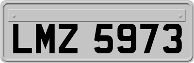 LMZ5973