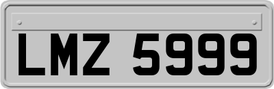 LMZ5999