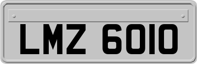LMZ6010