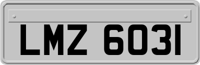 LMZ6031