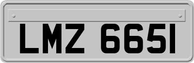 LMZ6651