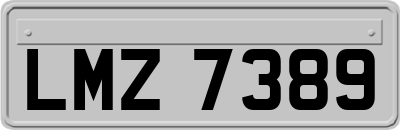 LMZ7389