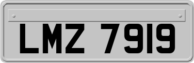 LMZ7919