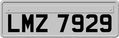 LMZ7929