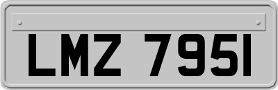LMZ7951