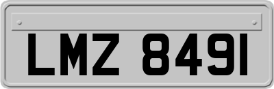 LMZ8491
