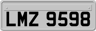 LMZ9598
