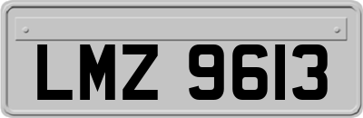 LMZ9613