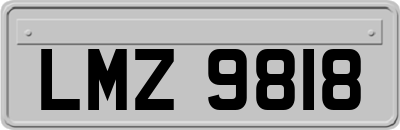 LMZ9818
