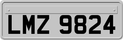 LMZ9824