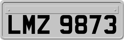 LMZ9873
