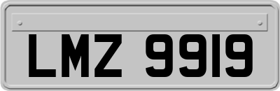 LMZ9919