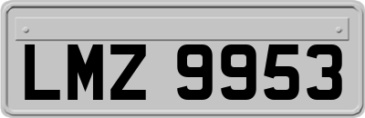 LMZ9953